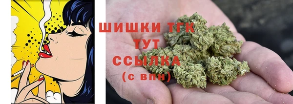 гашик Верея