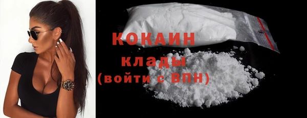 гашик Верея