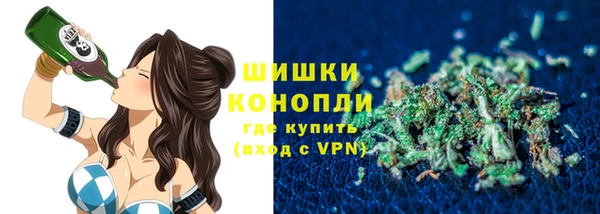 ГАЛЛЮЦИНОГЕННЫЕ ГРИБЫ Сосновый Бор