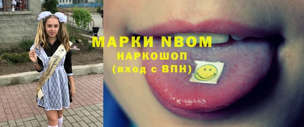 гашик Верея